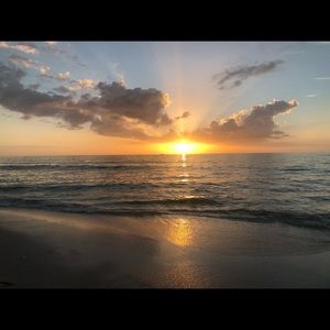 Meet your Posher, Ann marie